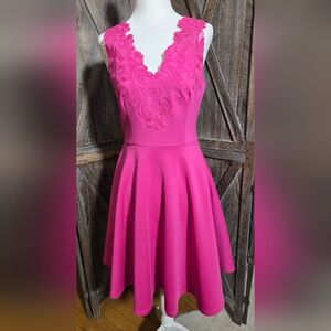 NWT Ted BakerTaliia Embroidered Skater Dress